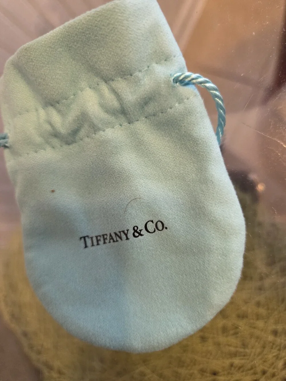 Tiffany & Co Silver 2025 Limited Edition Bird On A Gift Box Ornament & Pouch NEW